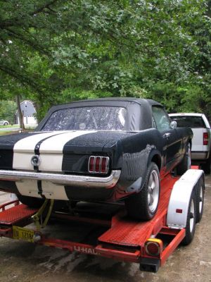2009-08-17---65-Mustang-1~0.jpg